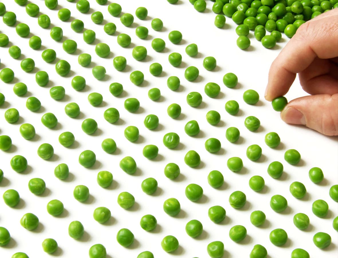 Dottoressa Mara Di Molfetta