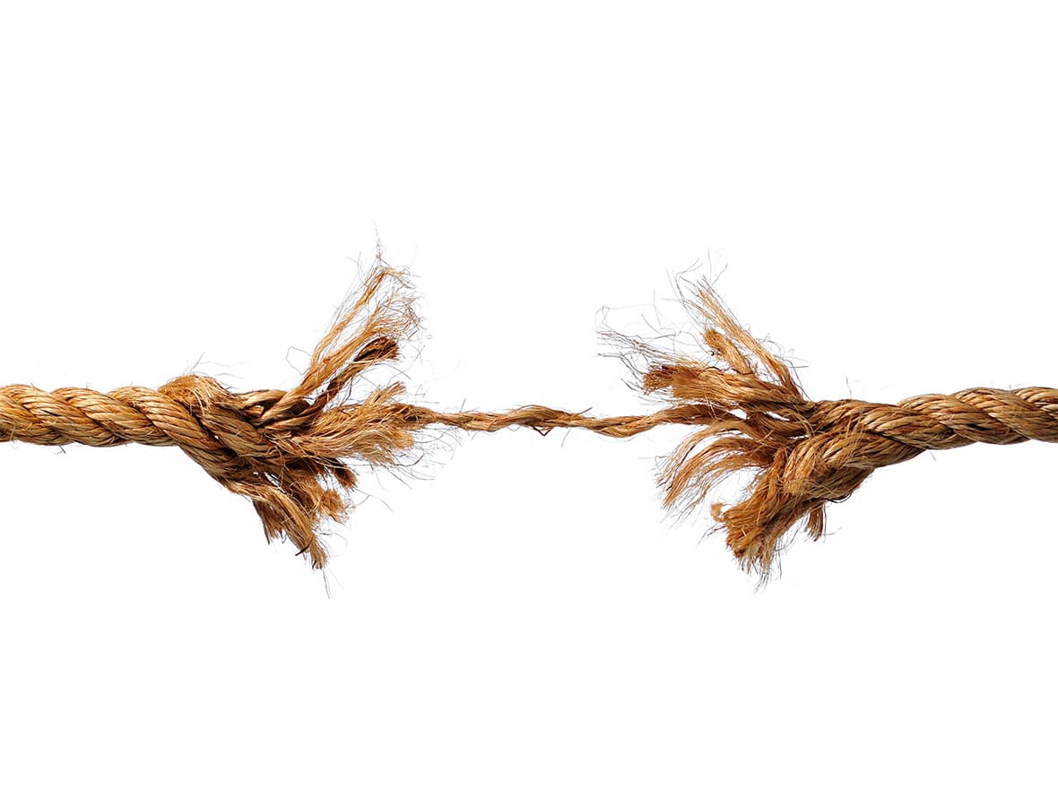 Dottoressa Mara Di Molfetta